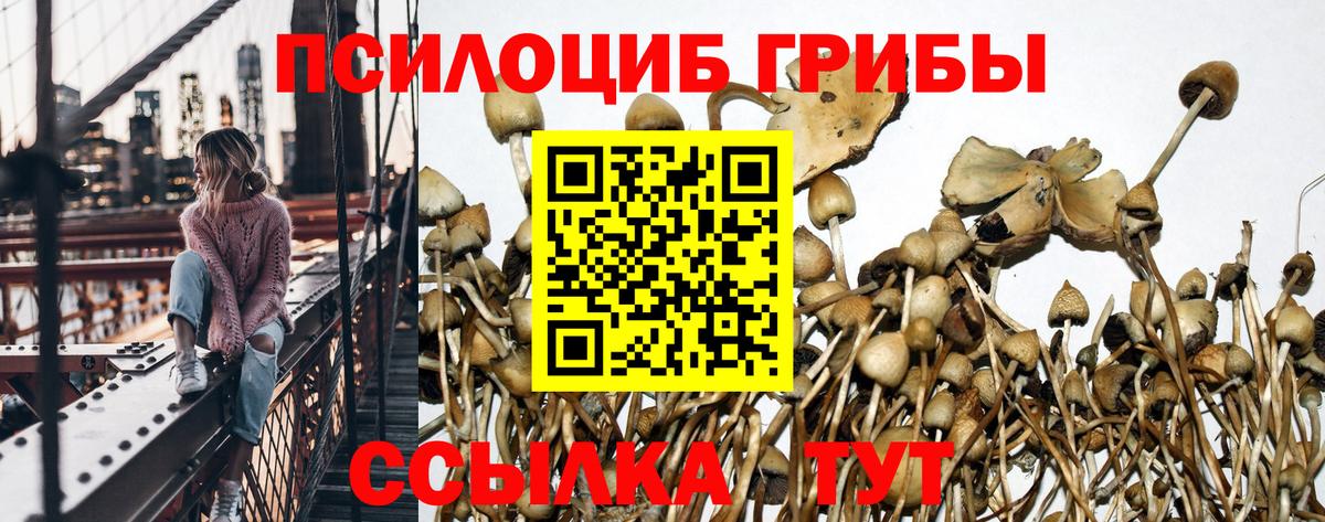 Галлюциногенные грибы Cubensis Касимов
